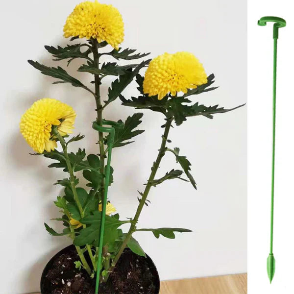 Hastes para Suporte de Plantas de Jardim | LeafLift